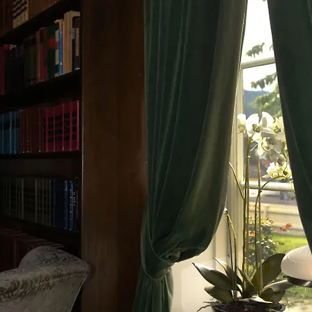 - Unike 赛尔尤尔